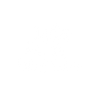 Life is a Mesh
